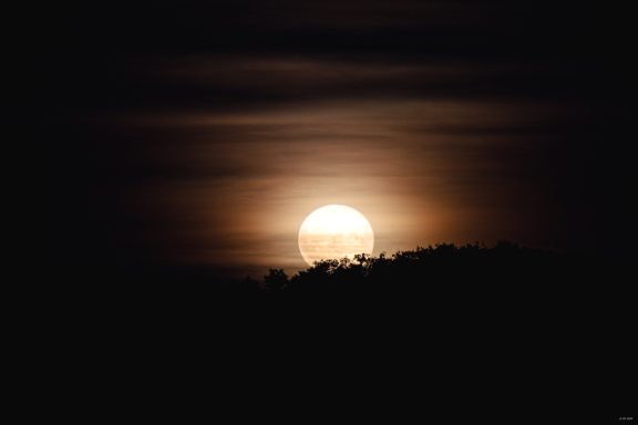 Mond