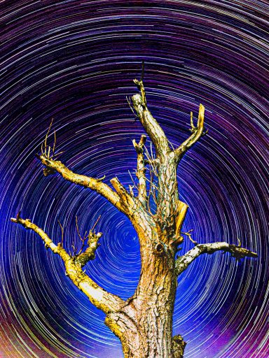 StarTrails Circular