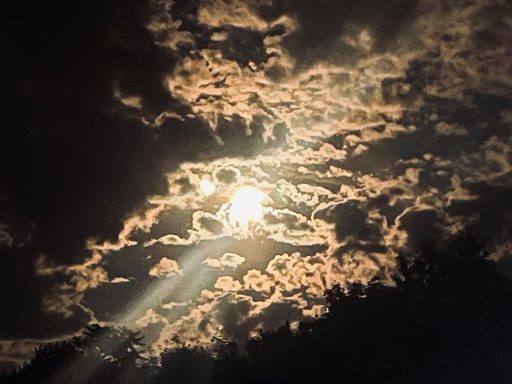 Mond