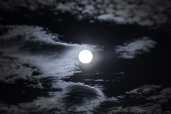 Mond