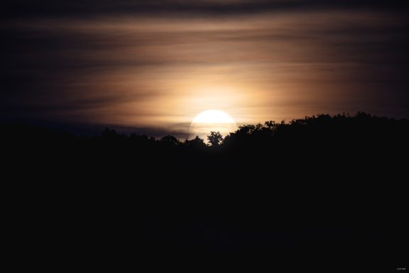 Mond