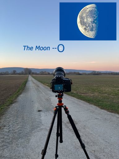 Mond