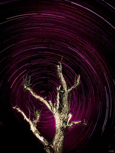 StarTrails Circular